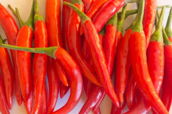 Chiles Rojos Sobre Fondo Blanco — Foto de Stock