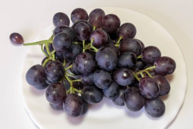 Beyaz tabakta kırmızı bir üzüm dalı. Vejetaryen yemeği.