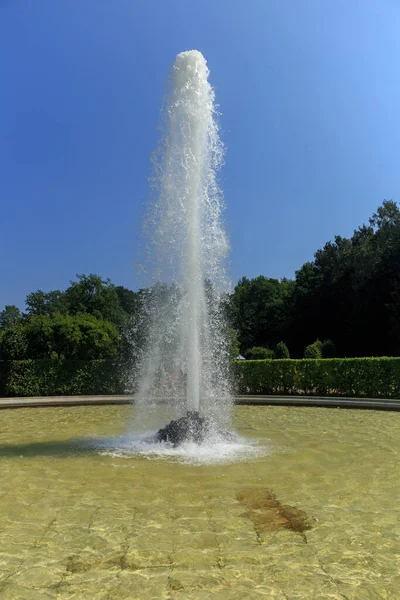 Hermosas Altas Poderosas Fuentes Parque Público San Petersburgo Rusia — Foto de Stock