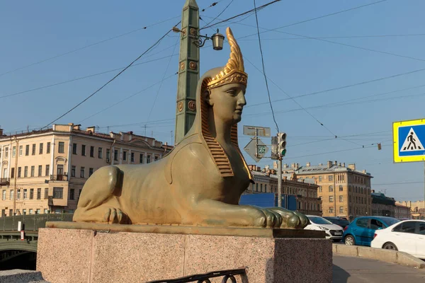 Saint Petersburg Rússia Agosto 2018 Esfinge Ponte Egípcia Sobre Rio — Fotografia de Stock