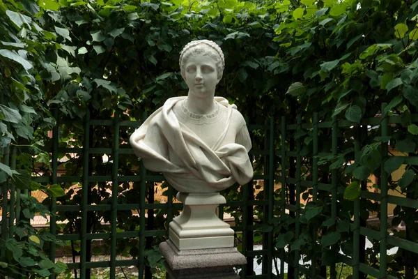夏季花园雕像 罗马参议员马塞勒斯 克劳迪斯 收到了俄罗斯圣彼得堡的老公园 夏季花园 — 图库照片