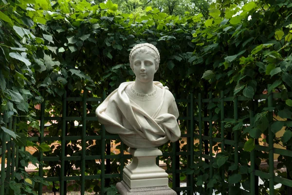 夏季花园雕像 罗马参议员马塞勒斯 克劳迪斯 收到了俄罗斯圣彼得堡的老公园 夏季花园 — 图库照片