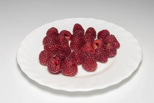 Raspberry Segar Pada Hidangan Putih Closeup — Stok Foto