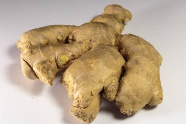 Beyaz arka planda zencefil kökü, Asya yemekleri ve popüler Asya baharatı..