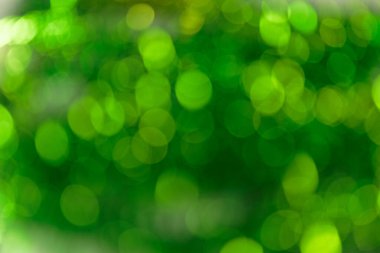 Renkli Soyut Ultra Yeşil Bokeh arka planı. 2019