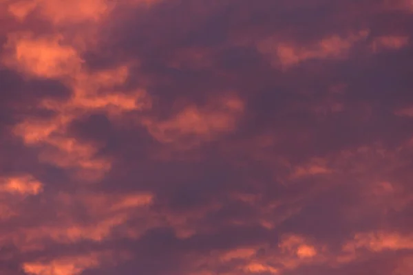 Stormy clouds and crimson sunset. Purple glow on the evening clouds. Sky patterns as background.