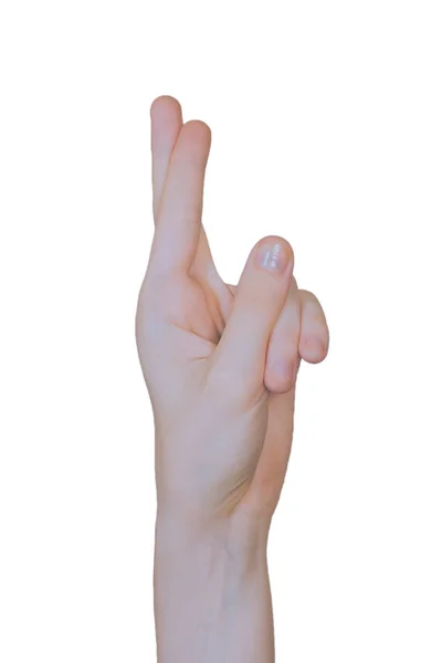 Collage of woman hands on white backgrounds — Stock Photo, Image