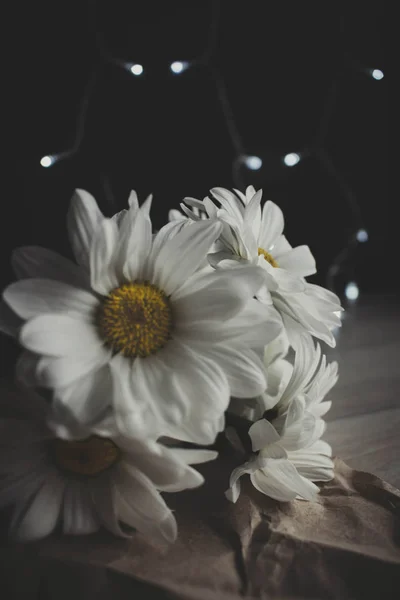 Crisantemo lunatico foto, Fiore bianco, margherita dorata su sfondo sfocato con bokeh — Foto Stock