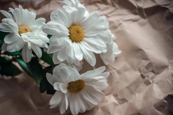 Flores de crisântemo branco em papel artesanal marrom em uma mesa branca. Buquê de margarida dourada no fundo borrado com bokeh — Fotografia de Stock