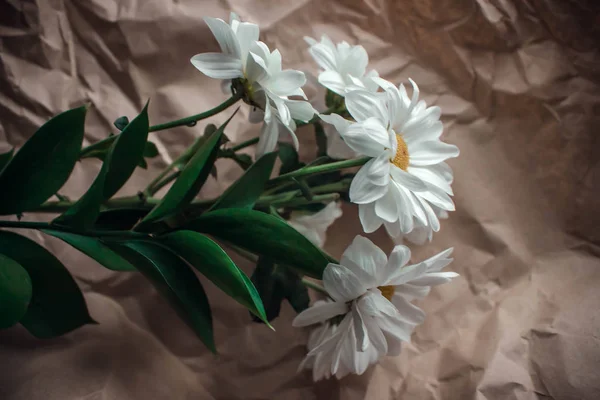 白いテーブルの上の茶色のクラフト ペーパーに白の菊の花。ボケ味を持つ背景をぼかした写真ゴールデン デイジー ブーケ — ストック写真