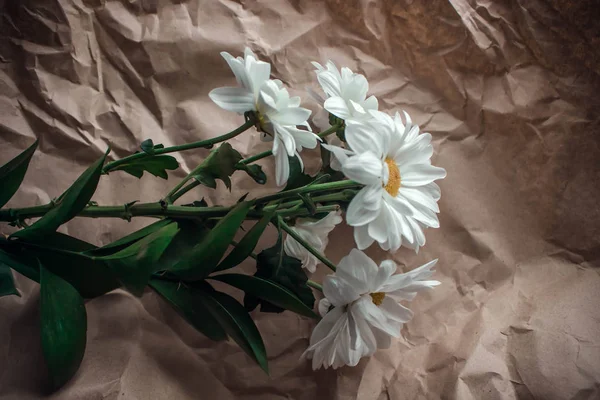 Flores de crisantemo blanco en papel artesanal marrón sobre una mesa blanca. Ramo de margaritas doradas sobre fondo borroso con bokeh —  Fotos de Stock