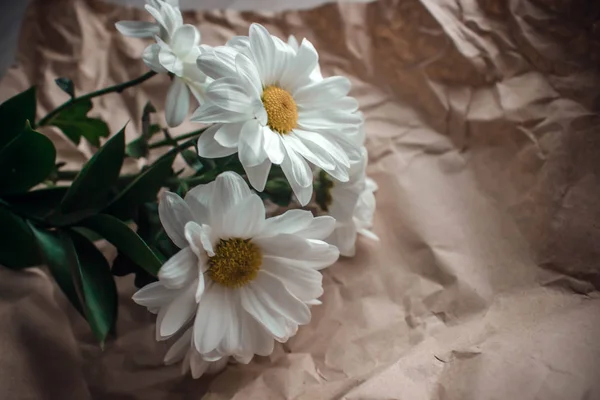 Fiori di crisantemo bianco in carta artigianale marrone su un tavolo bianco. Mazzo di margherite d'oro su sfondo sfocato con bokeh — Foto Stock