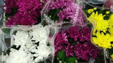 Çiçek içinde süpermarket satın alma. Birçok demet çiçek Dükkanı kırmızı, pembe, sarı çiçek dolu. Çok çok renkli buketleri. Çiçek pazarı veya mağaza ya da süpermarket
