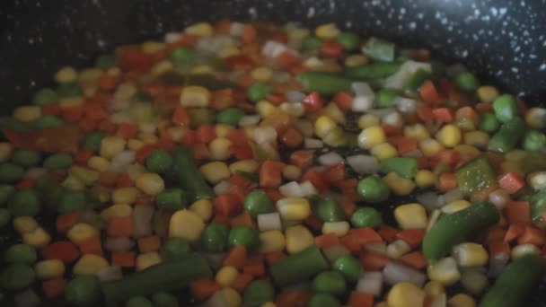 Stir Fry Frozen Vegetables Stir Fry Vegetables Wok Spatula Mix — Stock Video