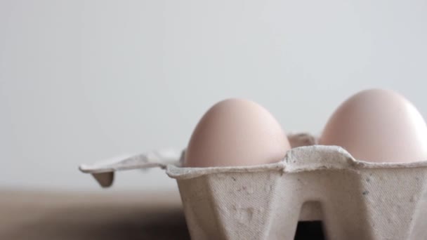Diy Πασχαλινό Αυγό Κάνει Μπάνι Ελάχιστη Έννοια Πάσχα Ιδέα Κουνέλι — Αρχείο Βίντεο