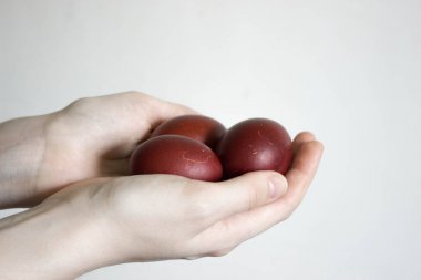 Tanınmayan kadınlar üç yumurta tutarlar. Kırmızı bir Paskalya yumurtası devirmek. Eski tatil geleneği. Beyaz arka planda izole edilmiş. Metin boş alan. Mutlu Paskalya!