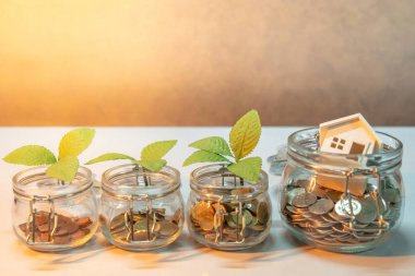 Emeklilik kavramı için para tasarrufu. Özellik veya gayrimenkul yatırım. Ev ipotek kredi oranı. Sikke yeşil bitki ve ev modeli tablosundaki para birimi kavanozların içinde. İş büyüme arka plan