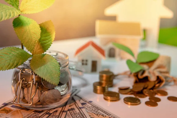 Real estate investment or property ladder. Home mortgage loan rate. Saving money concept. House model and plant growing out of coins in glass jar with dollar banknotes and gold coins spilling on table