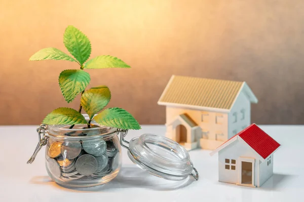 Property or real estate investment. Home mortgage loan rate. Saving money for future concept. Reflection of green plant growing out of coins in glass jar and house model on the table