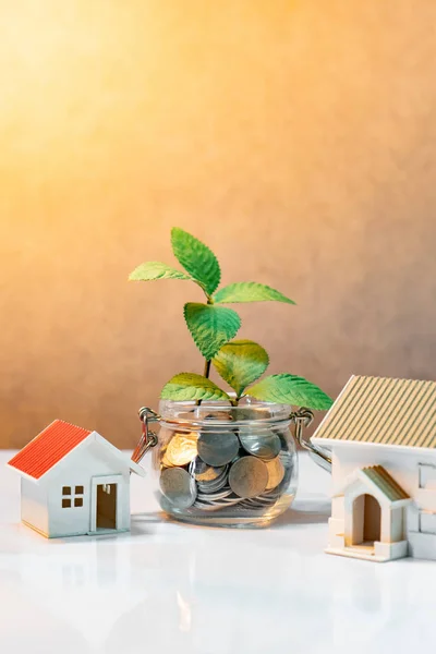 Property or real estate investment. Home mortgage loan rate. Saving money for future concept. Reflection of green plant growing out of coins in glass jar and house model on the table