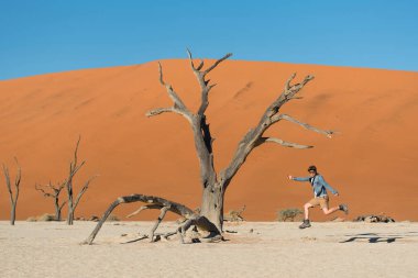Genç erkek gezgin deadvlei (Sossusvlei), Namibya Namib Çölü, Afrika'nın ünlü doğal landmark öldü ağaçlarında yanındaki atlama