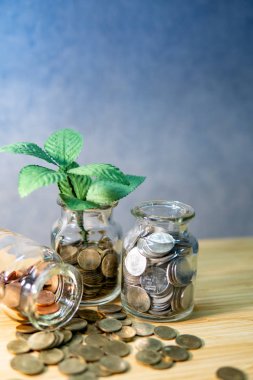 Sikke para birimi cam dışında ahşap masa üzerinde büyüyen yeşil bitki. Gelecekteki emeklilik için tasarruf. İş büyüme. Finansal yatırım kavramı