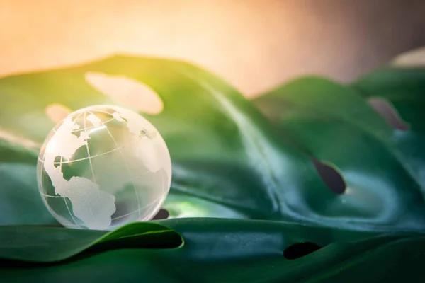 Мировой Глобус Цистального Стекла Зеленом Пышном Листе Защита Окружающей Среды — стоковое фото