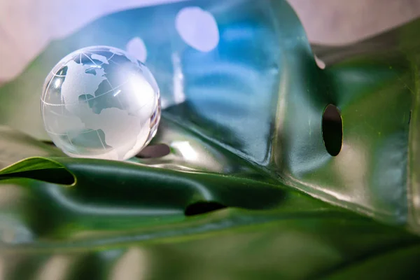 World globe cystal glass on green lush leaf. Environmental conservation. World environment day. Global business for sustainable development. Nature and ecology concept.