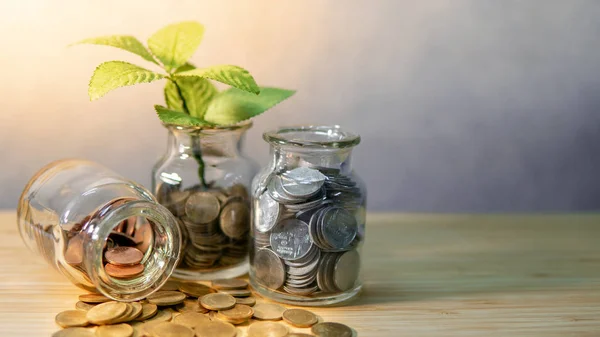 Plante Verte Qui Pousse Partir Pièces Monnaie Dans Pot Verre — Photo