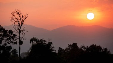 Gün batımında siluet orman ve dağ manzara. Doğa ve çevre kavramları