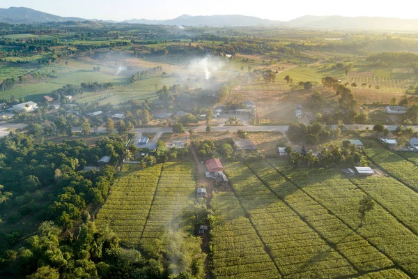 Luftaufnahme Eines Grünen Maisfeldes Mit Berglandschaft Und Nebel Morgen Abstrakte — Stockfoto