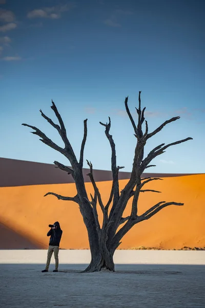 Tânăr Fotograf Asiatic Călător Fotografiind Copacul Mort Deadvlei Sossusvlei Timpul — Fotografie, imagine de stoc
