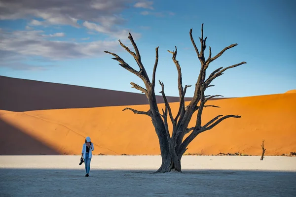 Călător lângă copacul mort în deadvlei, Namibia — Fotografie, imagine de stoc