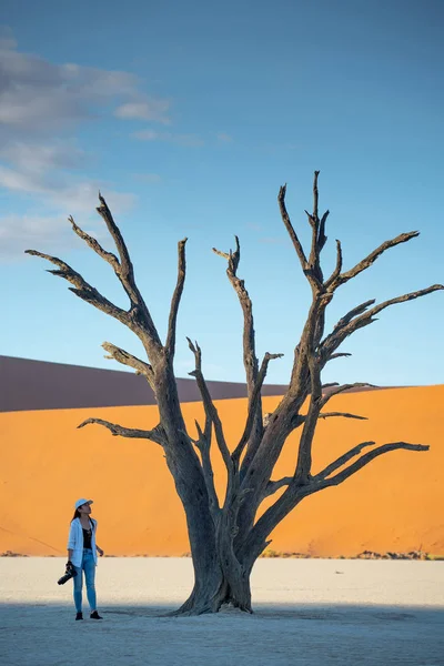 Traveler near Dead tree in deadvlei, Namibië — Stockfoto