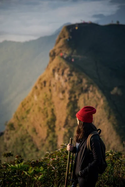 Ázsiai nő utazó nézett hegyi táj — Stock Fotó