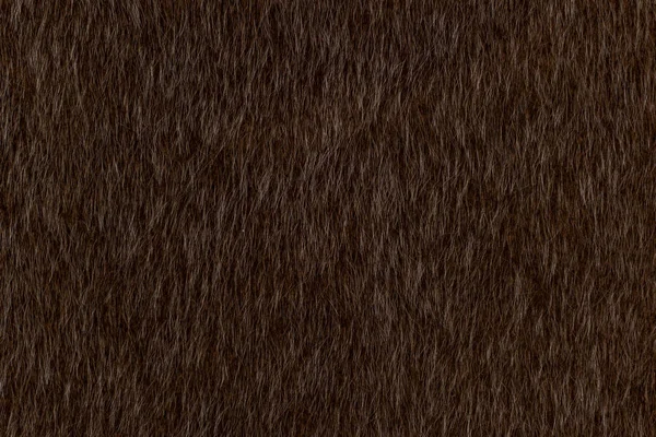 Marrone scuro animale peli texture sfondo — Foto Stock