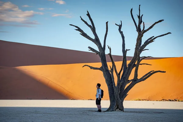 Turist asiatic în picioare cu copac mort în deadvlei — Fotografie, imagine de stoc