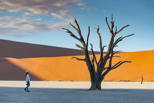 Путешественник возле мертвого дерева в Дедвли, Намибия — стоковое фото