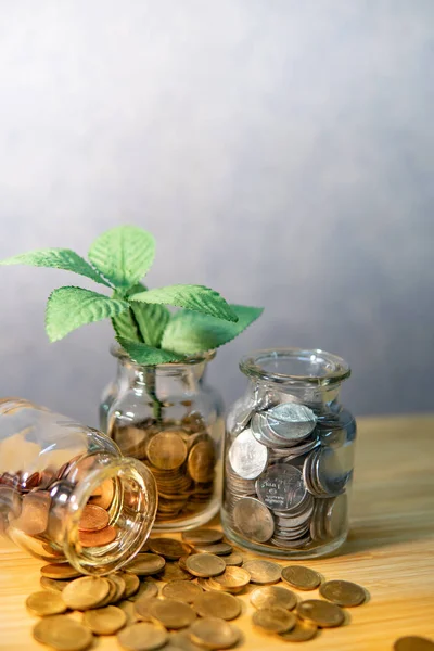 Plante poussant dans un pot à monnaie. Concept d'économie d'argent — Photo