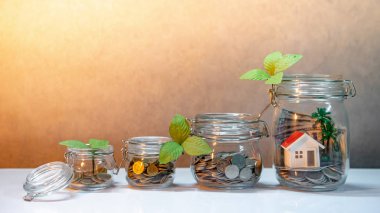 Tasarruf kavramı. Gayrimenkul yatırımı