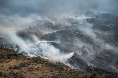 Firefighting helicopter drop water on forest fire clipart