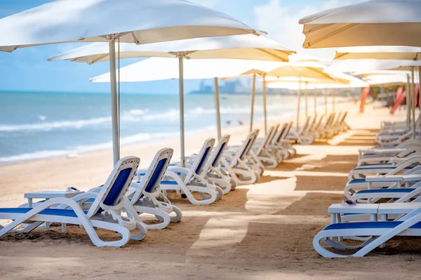 Groep Van Strand Bank Onder Parasol Paraplu Tropisch Eiland Strand — Stockfoto