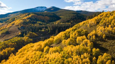 Altın günbatımında, Colorado 'daki Crested Butte, ABD' de sonbahar yeşilliklerinde güzel sarı kavak ağacı. Manzaralı sonbahar mevsimi dağ manzarası