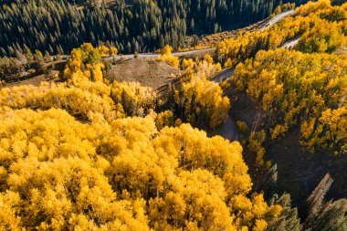Sarı Aspen Ormanı 'ndan geçen güzel toprak yol... ABD' nin Colorado eyaletindeki Crested Butte 'da sonbahar yapraklarının zirvesinde altın günbatımında. Manzaralı sonbahar mevsimi dağ manzarası