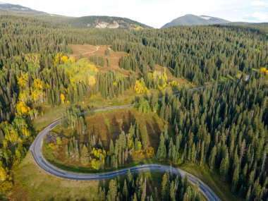 Colorado, ABD 'nin sonbahar sezonunun başlarında yeşil çam ve kavis ormanlarında dolanan S eğrisi yolunun hava aracı görüntüleri..