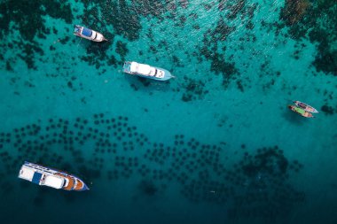 Koh Racha Yai Adası 'nın turne teknesi ve yapay resifin üzerinde demirleyen uzun kuyruklu tekneleri. Yaz tatili için popüler bir yer.