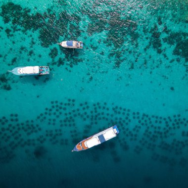 Racha Yai Adası 'nın ya da Koh Raya' nın yapay resifin üzerinde bulunan turnuva teknesi, yatı ve dalış teknesiyle hava görüntüsü. Yaz tatili için popüler bir yer.