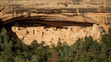 Mesa Verde Ulusal Parkı 'ndaki Cliff Palace. Kuzey Amerika 'daki en büyük uçurum, Colorado, ABD' deki tarihi dönüm noktası..