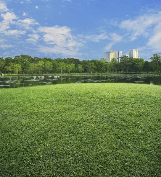 Groen Grasveld Met Lake Boom Openbare Stadspark Natuur Achtergrond — Stockfoto