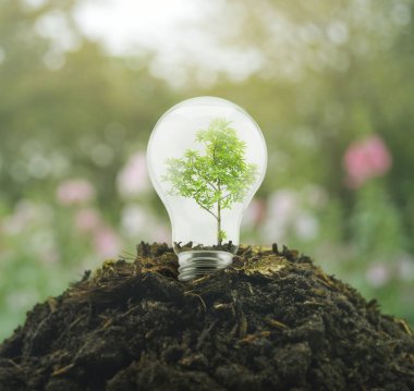 Ampul ağacın içinde üzerinde toprak yığını ile bulanıklık pembe çiçek ve ağaç, sanayi güç ve enerji ekolojik kavram